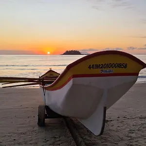 https://temporada-praia-de-palmas-sc.santa-catarina-brasil.com